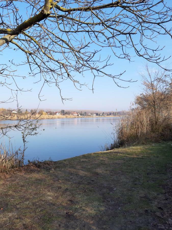 Andi Ueduelohaz Szolnok Luaran gambar